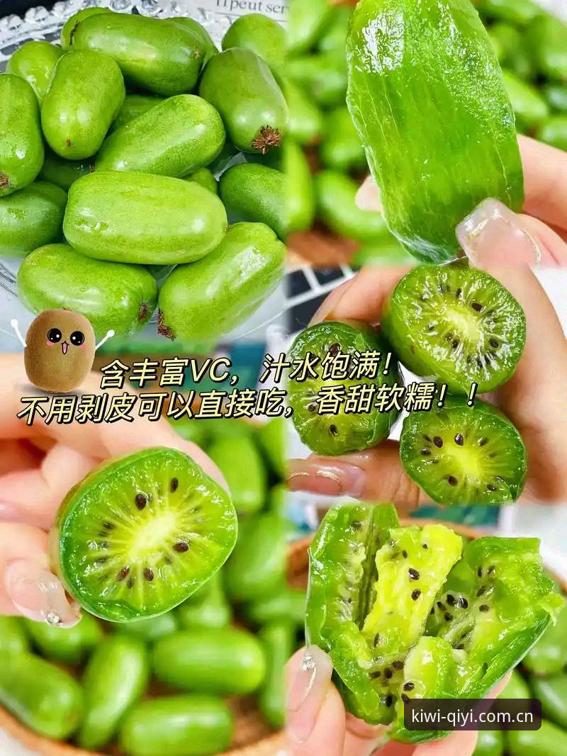 奇异果体育平台实用知识：从功能体验到数据细节的深度解析