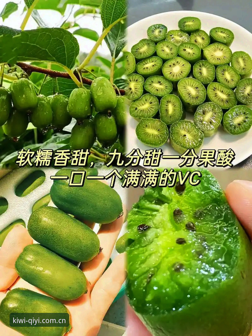 奇异果体育平台实用指南：掌握一站式体育娱乐的关键技巧