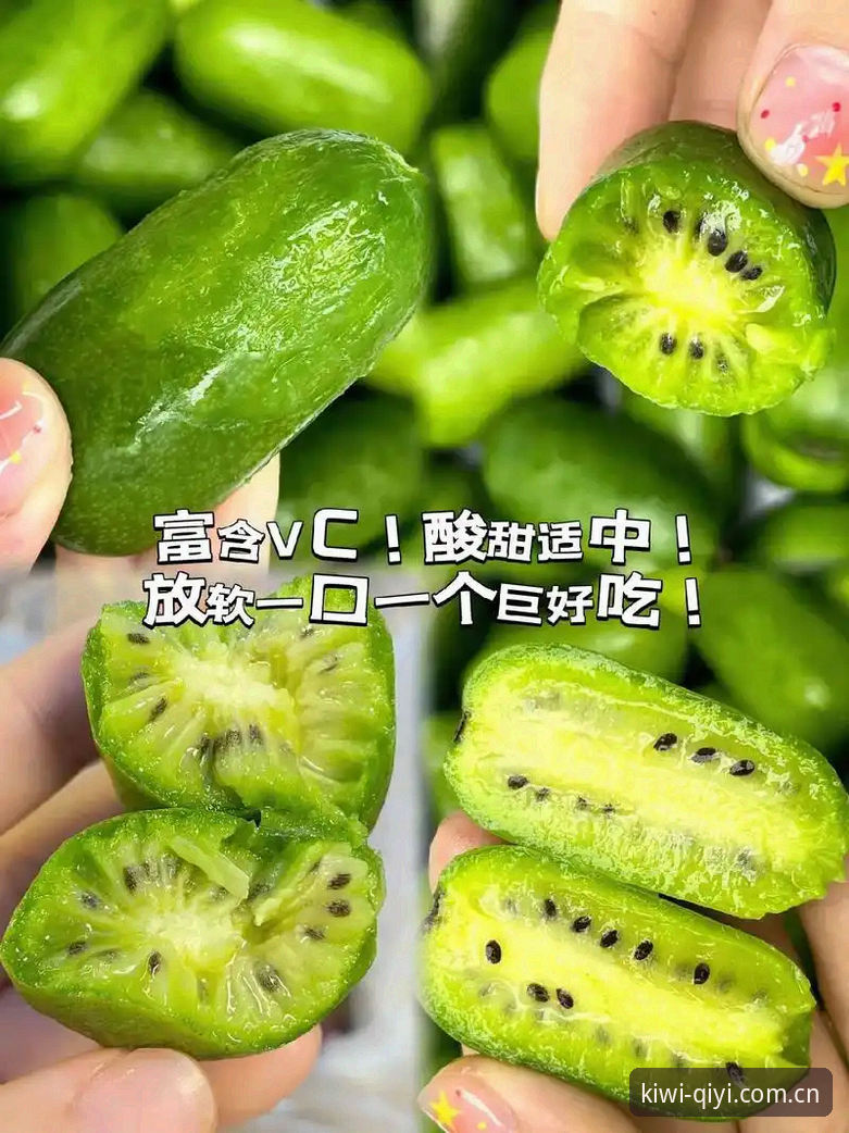 奇异果体育平台实用知识：从功能体验到数据细节的深度解析